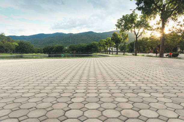 Driveway Pavers for Homes in The Meadows, FL