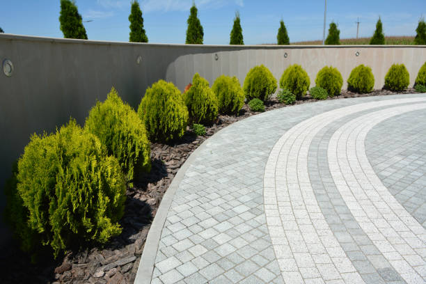 Best Custom Driveway Pavers  in The Meadows, FL